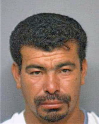 Alvarado Marco - Marion County, FL 