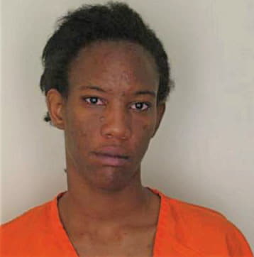 Lewis Brianna - Hillsborough County, FL 