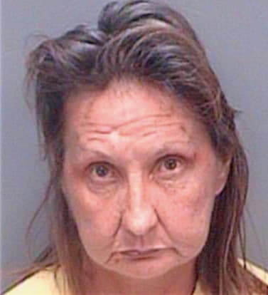 Gleason Debra - Pinellas County, FL 