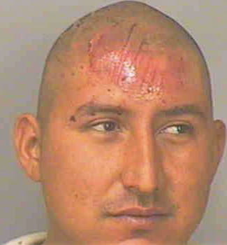 Silva Francisco - Polk County, FL 