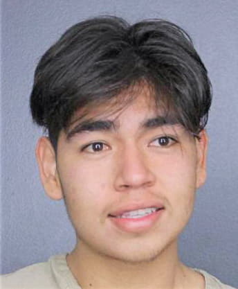 Hidalgo Romario - Broward County, FL 