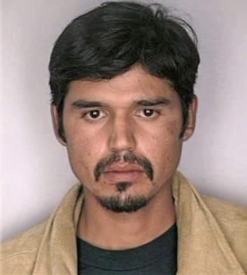 Floresgarcia Victor - Hillsborough County, FL 