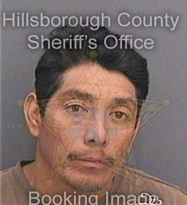 Hernandezhernandez Celerino - Hillsborough County, FL 
