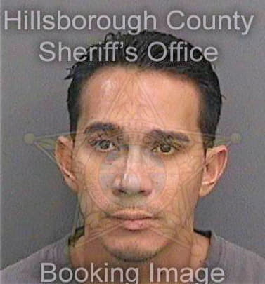 Miranda Mark - Hillsborough County, FL 