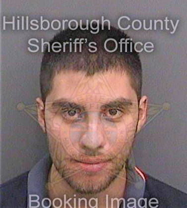 Mazariegosliquidano Anthony - Hillsborough County, FL 
