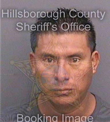 Meregildoitzep Juan - Hillsborough County, FL 