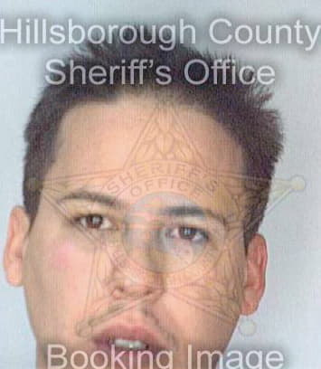Lopez Norberto - Hillsborough County, FL 
