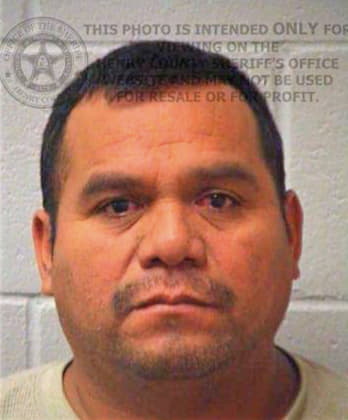 Gonzalez-Ortiz Carlos - Henry County, GA 