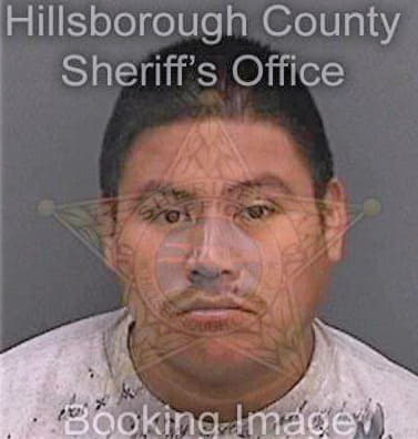 Gomezcruz Enrique - Hillsborough County, FL 
