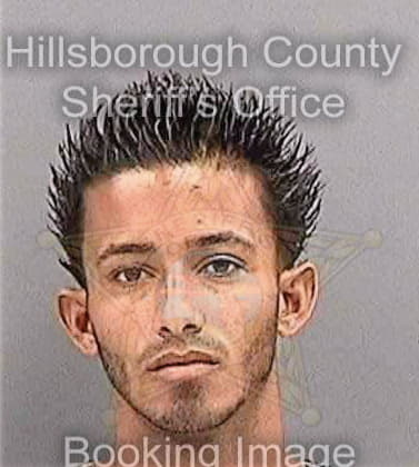Enamoradohernandez Jesus - Hillsborough County, FL 