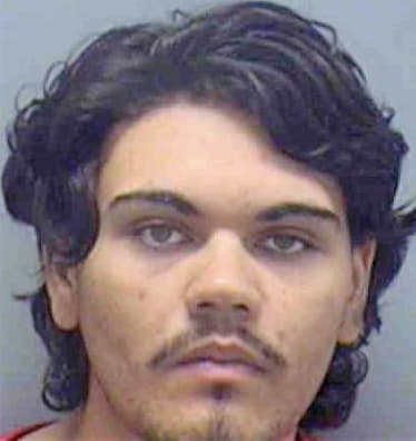 Olvera John - Lee County, FL 