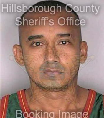 Paredes Milton - Hillsborough County, FL 