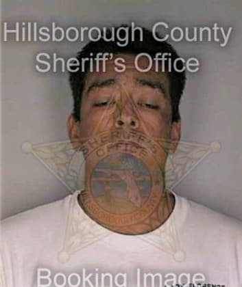 Romero Patrick - Hillsborough County, FL 