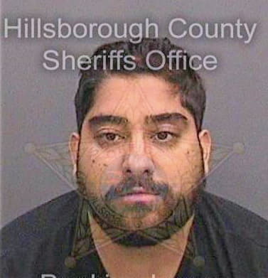 Mehta Sagar - Hillsborough County, FL 