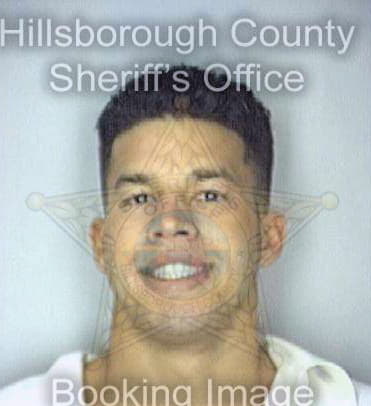 Velez Alejandro - Hillsborough County, FL 