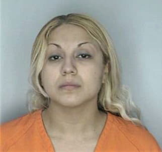Ospina Marjwry - Hillsborough County, FL 
