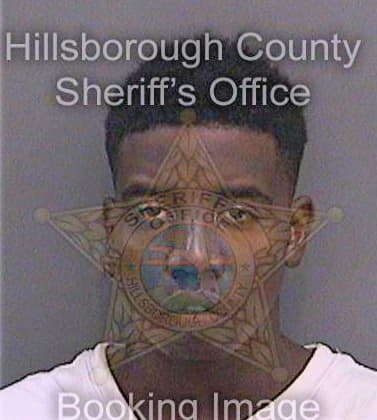 Coleman Ian - Hillsborough County, FL 