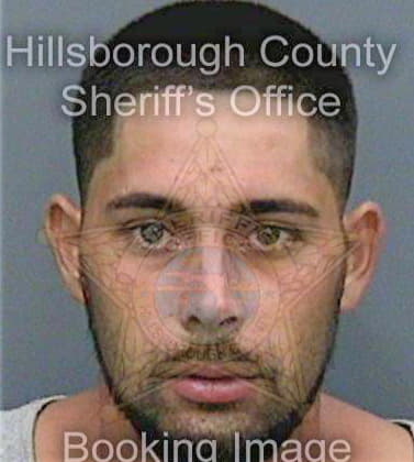 Martinez Jason - Hillsborough County, FL 