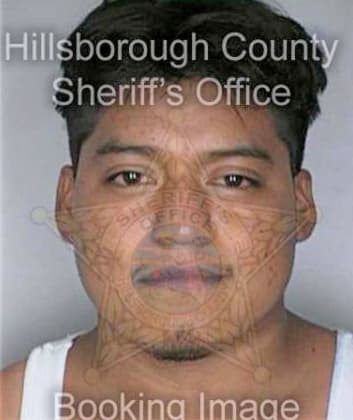 Delacruz Nicolas - Hillsborough County, FL 