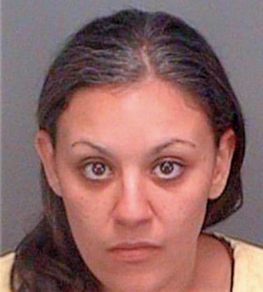 Garcia Rebbeca - Pinellas County, FL 