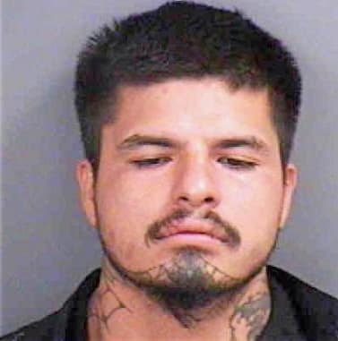 Rodriguez Roberto - Collier County, FL 