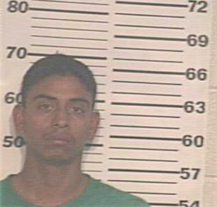 Arce Roman - Hidalgo County, TX 