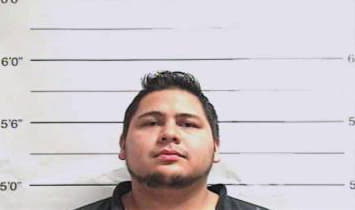 Mejia Wilfredo - Orleans County, LA 