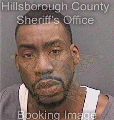 Jones Denario - Hillsborough County, FL 