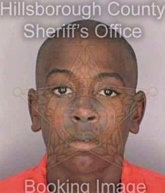 Nelson Michael - Hillsborough County, FL 