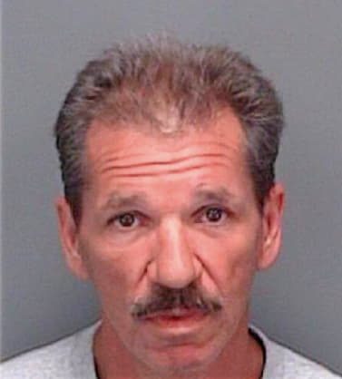 Johnston Michael - Pinellas County, FL 