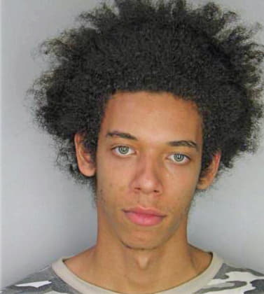 Knowles Steven - Hillsborough County, FL 