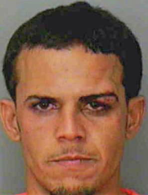 Montero-Salgado Victor - Polk County, FL 