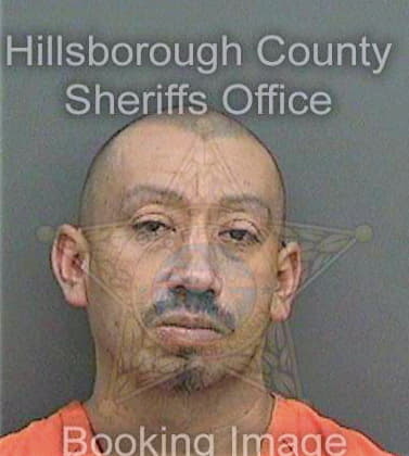 Hernandezflores Claudio - Hillsborough County, FL 