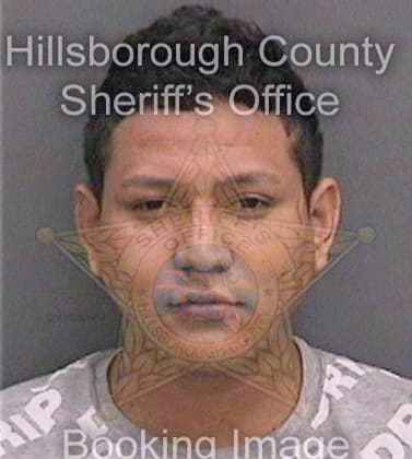Morenovasquez Crhistian - Hillsborough County, FL 