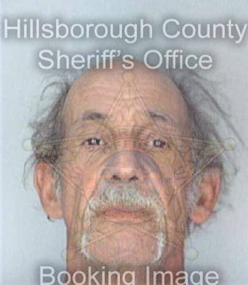 Gonzalez Enrique - Hillsborough County, FL 