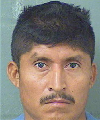 Lopezrivera Rudy - PalmBeach County, FL 