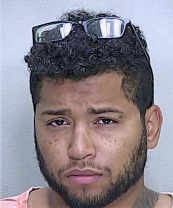 Perez Addiel - Marion County, FL 
