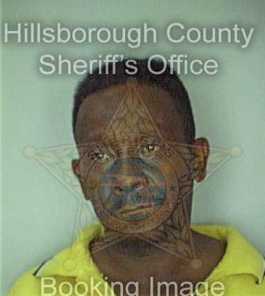 Williams Anthony - Hillsborough County, FL 