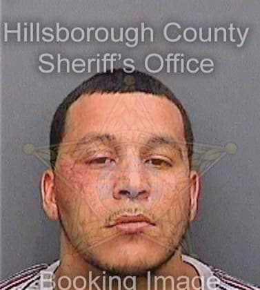 Garcia Christopher - Hillsborough County, FL 