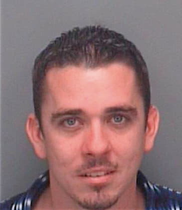 Wiles Daniel - Pinellas County, FL 
