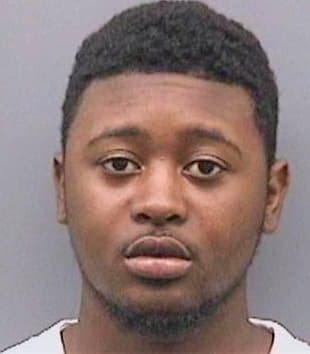 Watson Emanuel - Hillsborough County, FL 