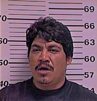 Pinedo Ricardo - Henderson County, TX 