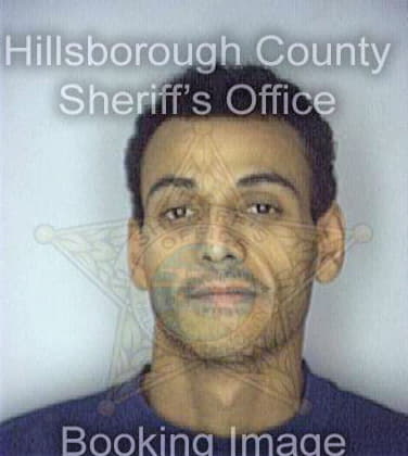 Diaz Wilfred - Hillsborough County, FL 