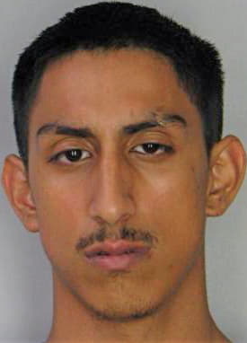 Gonzalez Alexander - Hillsborough County, FL 