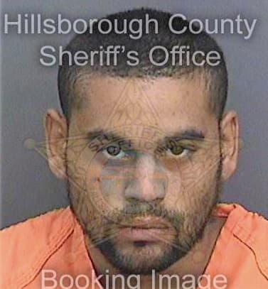 Garciarivera Andres - Hillsborough County, FL 