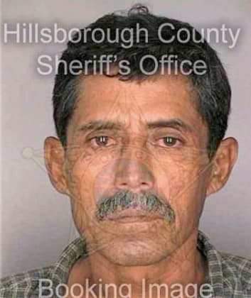 Salinas Carlos - Hillsborough County, FL 