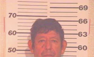Cedillo Luis - Hidalgo County, TX 