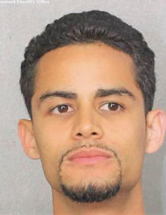 Hernandezsuarez Daniel - Broward County, FL 
