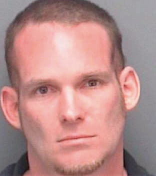 Jamieson David - Pinellas County, FL 