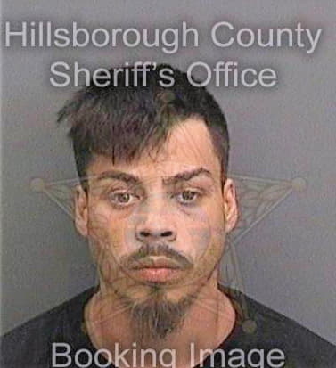 Bustos Joseph - Hillsborough County, FL 
